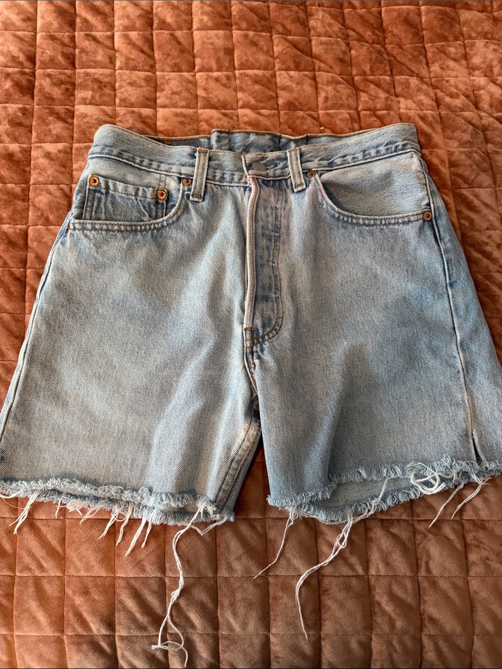 Levi Strauss Clothing Denim Short Cutoffs button fly BOHO vintage 28 waist